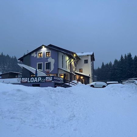 Pension Max Klinovec Лоучна-под-Клиновцем Экстерьер фото