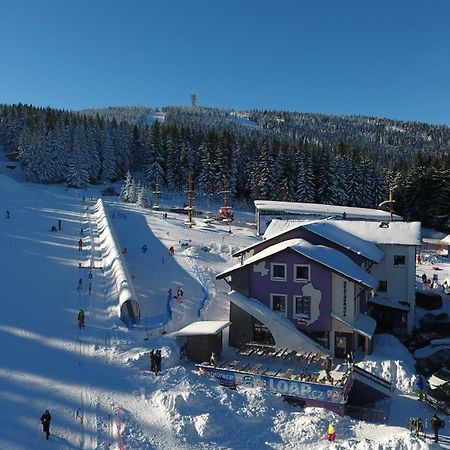 Pension Max Klinovec Лоучна-под-Клиновцем Экстерьер фото